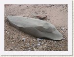 2054-Dolphin Shaped Rock at Sidmouth * 800 x 600 * (108KB)
